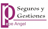 Logo_Seguros_y_Gestiones-removebg-preview