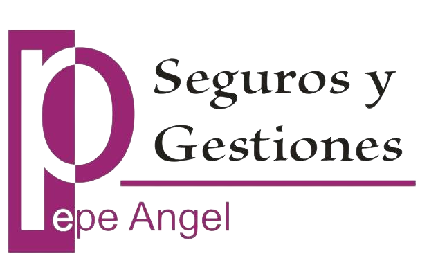 Logo_Seguros_y_Gestiones-removebg-preview